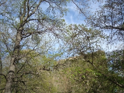 2011 Spring Scenery Walk - Riverside Park 28